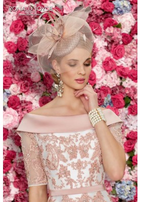 Veni Infantino 991265